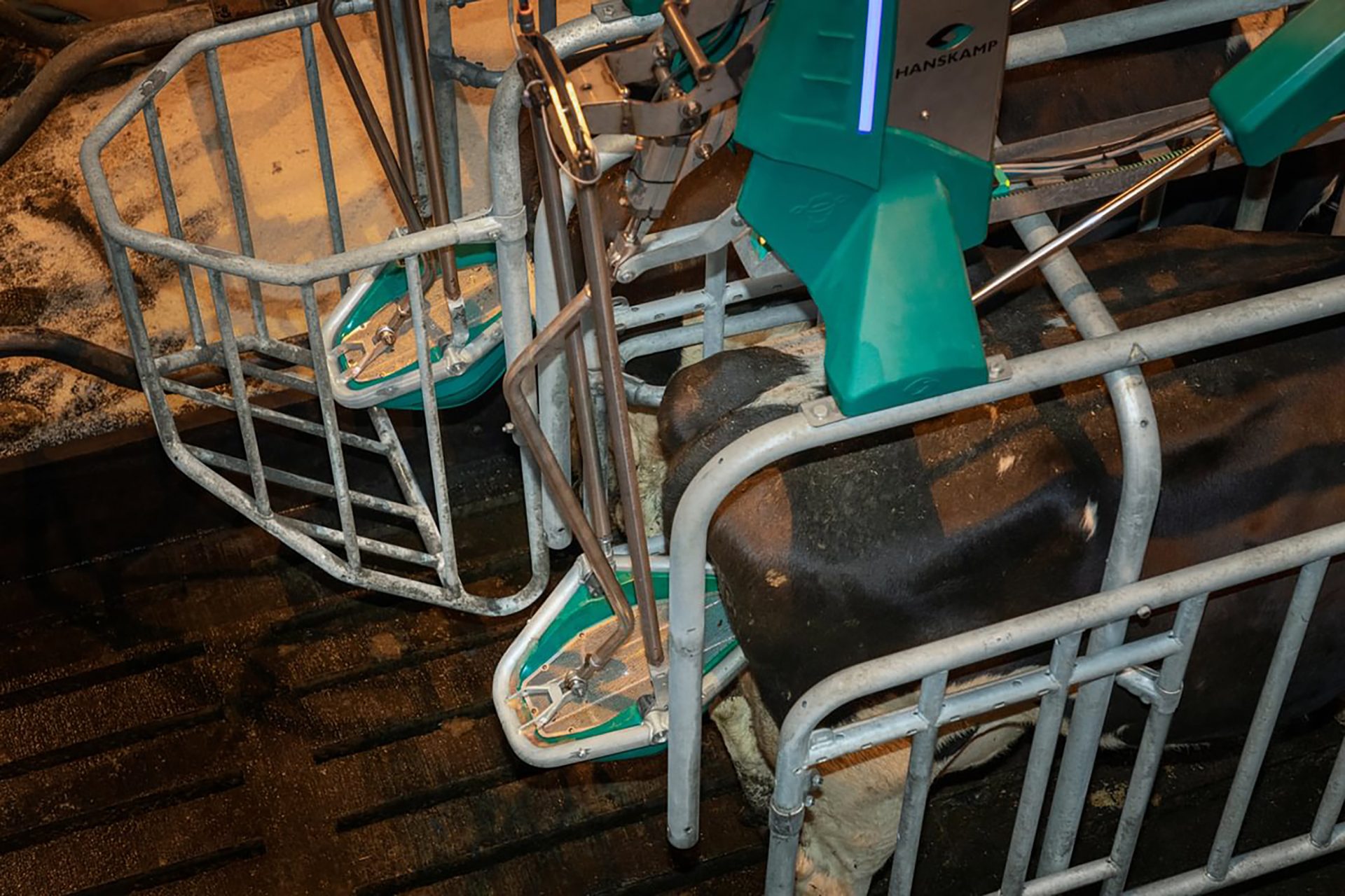 CowToilet launch at LAMMA CowToilet launch at LAMMA