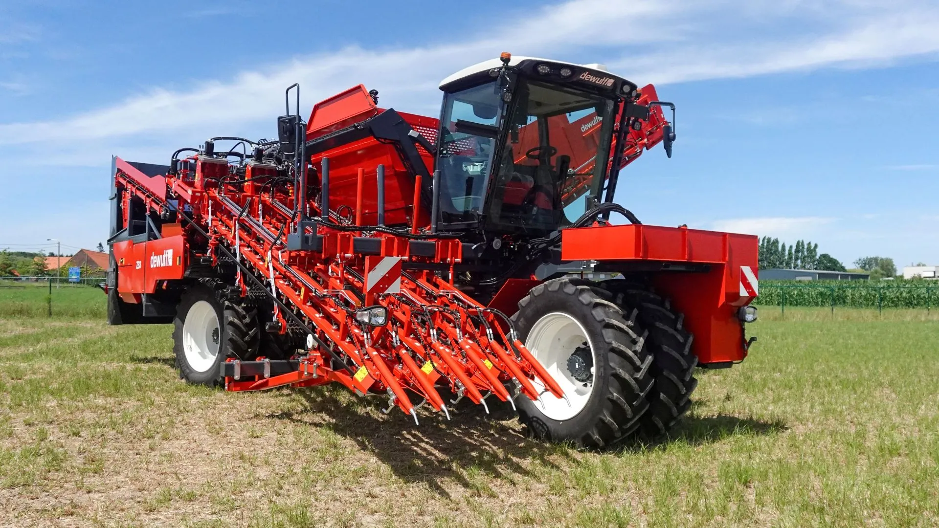 Dewulf three-row carrot harvester