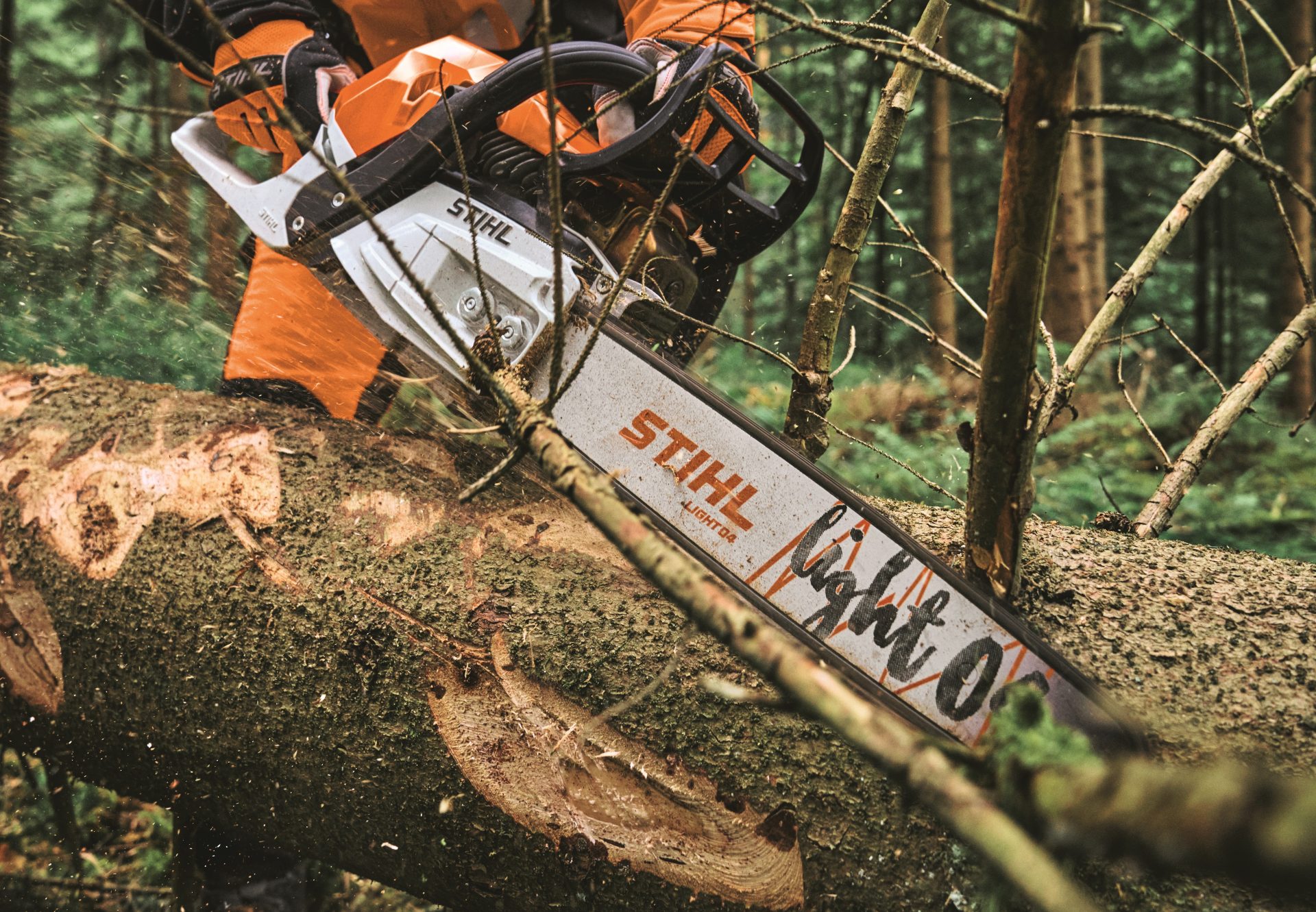 First outing for Stihl battery and fast charger