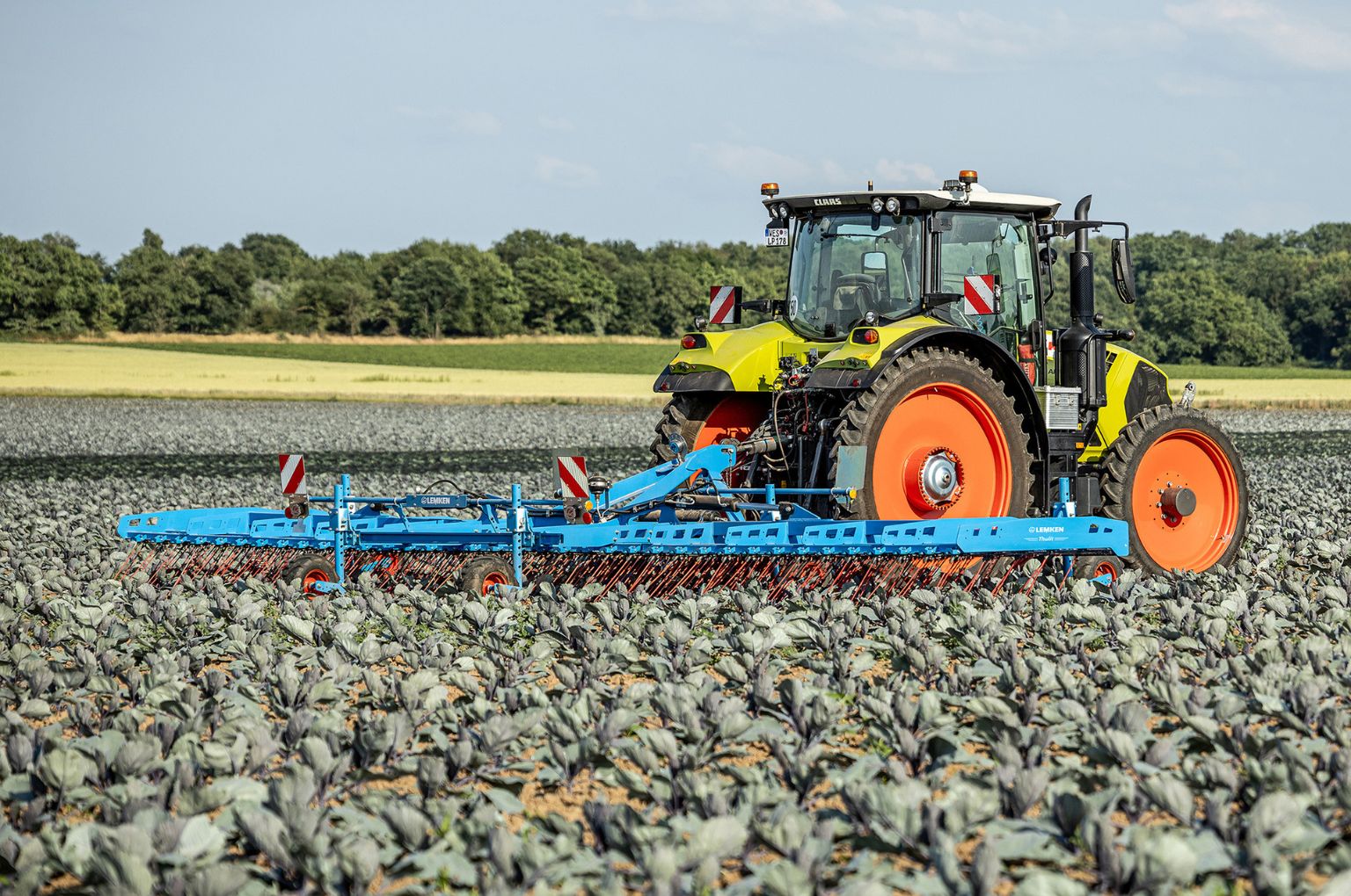 Weed control in young plants