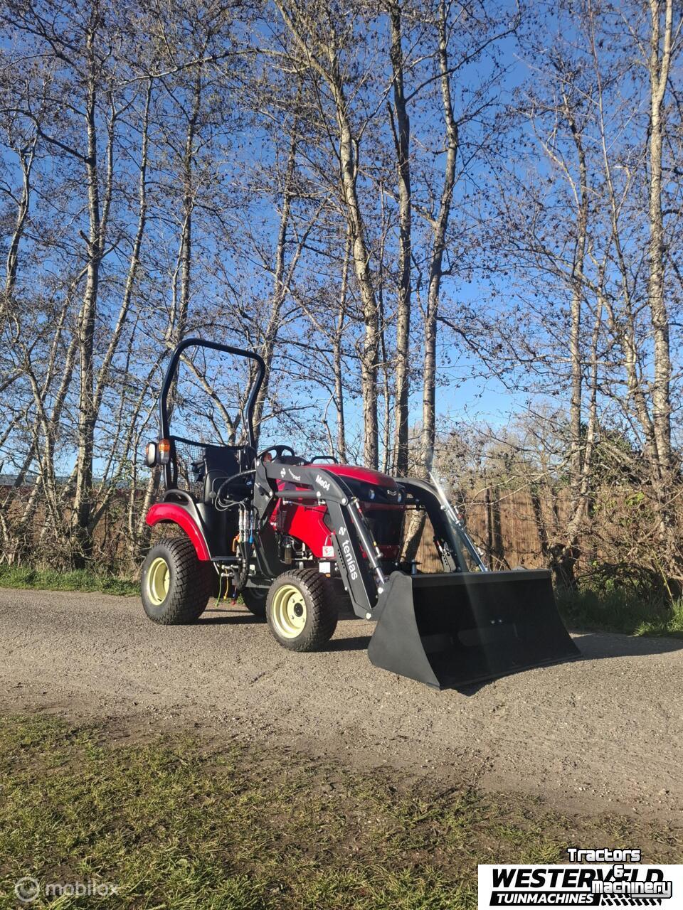 Tracteur Yanmar Sa222