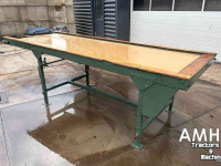 Table de visite  3100X1000 Leesband, Inspection conveyor, Verleseband