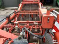Arracheuse de pommes de terre Grimme DL 1700, rooier, aardappelrooier