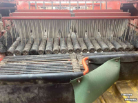 Arracheuse de pommes de terre Grimme DL 1700, rooier, aardappelrooier