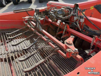 Arracheuse de pommes de terre Grimme GZ 1700 DL1