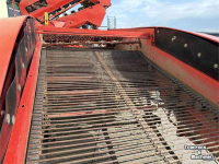 Arracheuse de pommes de terre Grimme GZ 1700 DL1