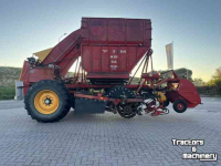 Arracheuse de betteraves Tim MIIIS- TEA Bietenrooier 3 rijen