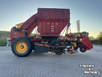 Arracheuse de betteraves Tim MIIIS- TEA Bietenrooier 3 rijen