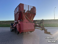 Arracheuse de betteraves Tim MIIIS- TEA Bietenrooier 3 rijen