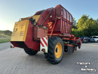 Arracheuse de betteraves Tim MIIIS- TEA Bietenrooier 3 rijen
