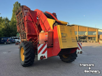 Arracheuse de betteraves Tim MIIIS- TEA Bietenrooier 3 rijen