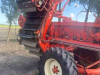 Arracheuse de pommes de terre Grimme DLS 1500