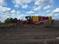 Arracheuse de pommes de terre Grimme Varitron 270 Aardappelrooier