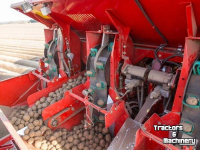 Planteuse de pommes de terre Grimme Grimme GL 420 Exacta Pootmachine 4-Rijen