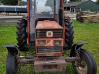 Tracteur pour horticulture Fiat fiat 45-66