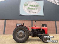 Tracteurs anciens Massey Ferguson 35