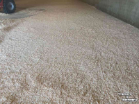 Épandeur de sciure pour des logettes AG Dispenser FS 200 (Zaagselstrooier, pluimvee)