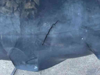Roues, Pneus, Jantes, Barillets Jumelage Michelin 2x Mach X BiB 710/70R38 Banden