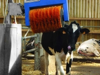 Brosses à vaches Bou-Matic Cow brush / koe borstel