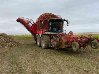 Arracheuse de betteraves Vervaet Beet Eater BE625 Bietenrooier / Sugar beet harvester / Rübenroder