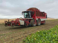 Arracheuse de betteraves Vervaet Beet Eater BE625 Bietenrooier / Sugar beet harvester / Rübenroder