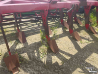 Cultivateur Wifo KSK275 + ROL D44 X B300
