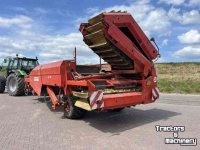 Arracheuse de pommes de terre Grimme GZ 1700 RS Aardappelrooier