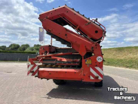 Arracheuse de pommes de terre Grimme GZ 1700 RS Aardappelrooier