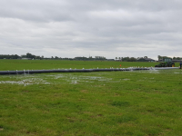 Irrigation à tuyau flexible trainé Veneroni Bemalingspomp