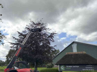 Chargeur Télescopique Manitou MLT 635-130 PS+