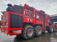 Arracheuse de betteraves Holmer Terra Dos T4-40