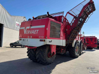 Arracheuse de betteraves Vervaet Beet Eater 625 Bietenrooier