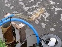 Autres matériel d´irrigation et accessoires Suevia In- en uitfiltratie systeem op zonne-energie