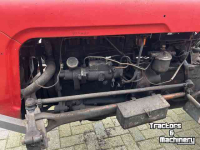 Tracteurs anciens Massey Ferguson 35