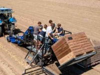 Arracheuse de pommes de terre SU-Tech aardappellader