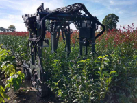 Autres matériel et accessoires d´arboriculture  snoeimachine steekmachine buxusknipper rondsteekmachine