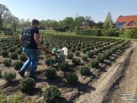 Autres matériel et accessoires d´arboriculture Ezendam Globus Multi-E-Wagen SPK03