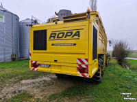 Arracheuse de betteraves Vervaet Ropa Tiger V8-3 Sugar Beet Harvester / Bietenrooier / Rubenroder