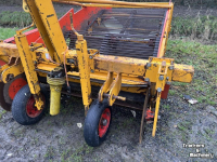 Arracheuse de pommes de terre Samon Voorraad rooier 1.5 meter
