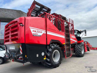 Arracheuse de betteraves Grimme Rexor 6200 Platinum