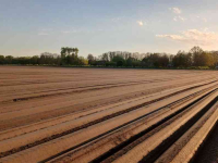 Fraise buteuse Struik Twin Rotor (vollevelds)frees