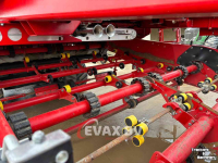 Arracheuse de pommes de terre Grimme Varitron 470 GEN 3 VRS+MS