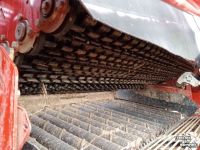 Arracheuse de pommes de terre Grimme GT170S