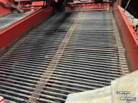 Arracheuse de pommes de terre Grimme Rooimatten