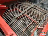 Arracheuse de pommes de terre Grimme Rooimat