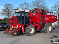 Arracheuse de betteraves Gilles Beet Master 2000
