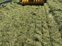 Rouleau packer de silage Mammut Kuilverdichtingswals