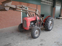 Tracteurs anciens Massey Ferguson MF 35 3cyl diesel