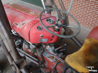 Tracteurs anciens Massey Ferguson MF 35 3cyl diesel