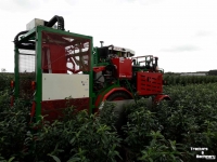 Arracheuse des mottes Ezendam Globus ASTM automatische Steekmachine